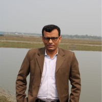 Mohammad Mamun