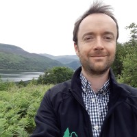 Andrew Stringer