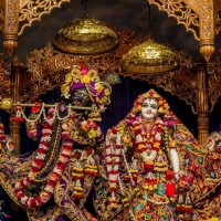 Jaydipsinh Rathod