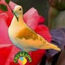 Umesh. Kumar Sahoo