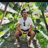 Dario Rivera Lozoya