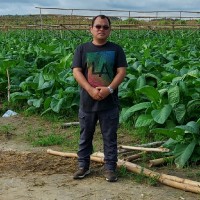 JASON JAMES ZAFICO ALFARO