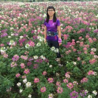 Debbie Chen
