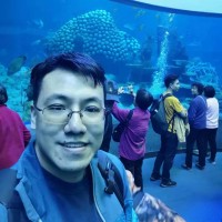 陈诗洋