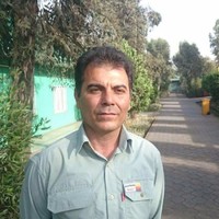 Bijan Jenab