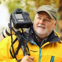 Greg Boll