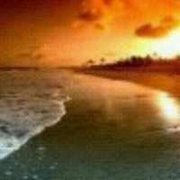 Conny Strand