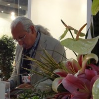 Ramin Emami