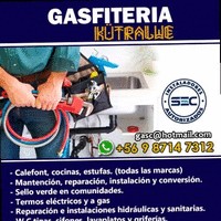 Rodrigo Saavedra Gasfiter