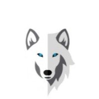 TecHunter Recrutamento e Seleção