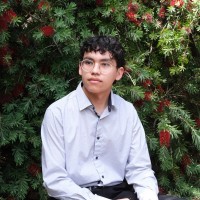 Brayant Silva Hernandez