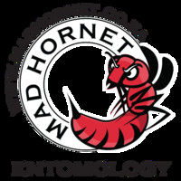 David Horne