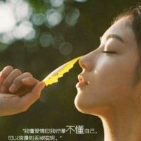 高友自