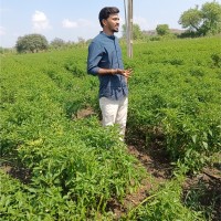 Uddhav Mise
