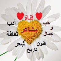 Tarek Fareed