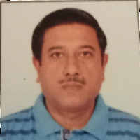 Partha Pratim Roy