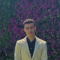 Ziad M'hamdi