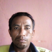 David Paays