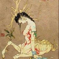 杨金宇