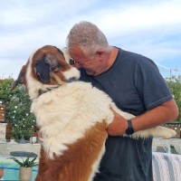 Dimitris Andreanidis