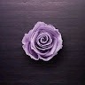 Sridurga. S
