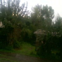 Shewa Bekele