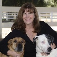 Teri Connelly