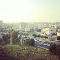 Maysa Al Jaberi