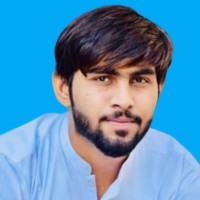 Ameer Hamza