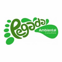 Pegada Ambiental Consultoria e Engenharia.