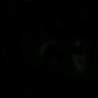 Shyam Dev