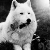 Azimxon Erkinov