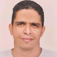 Amr Ibrahim PMP, RMP