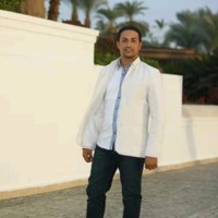 Hossam Elansary