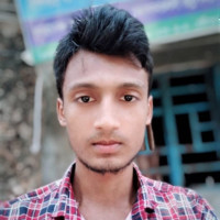 Avi M.