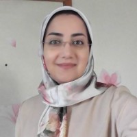 Maryam Amini