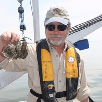 Tim Wheeler