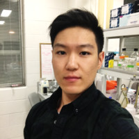William Cho
