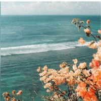 Maitha Al Yahyaee