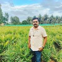 Naveenkumar Kp