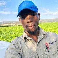 Scelo Simelane