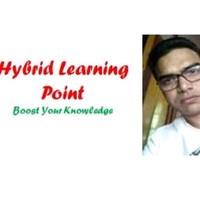Hybrid Learning Point