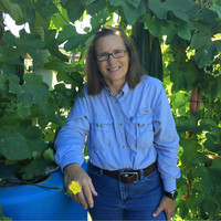 Deborah A Terrell