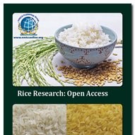 Rice Research Journal