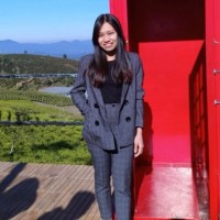 Tú Anh