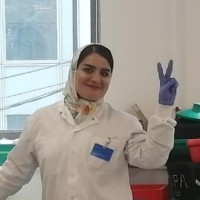 Fatemeh Shafighian
