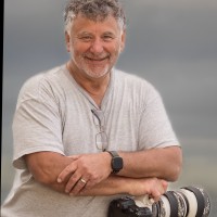 Steven Fitch