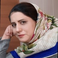 Tayebe Shokrpour