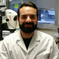 Luca Pannone