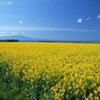徐国来